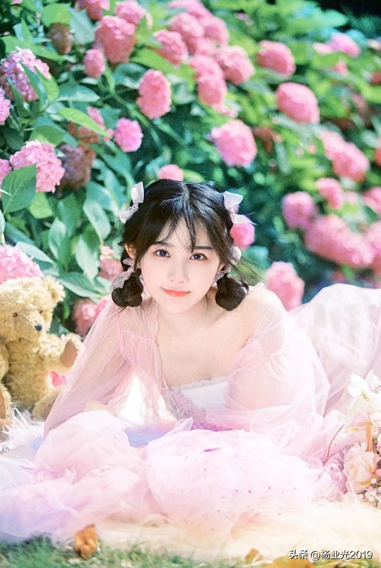 兰花原创七律,春意盎然七律原创诗