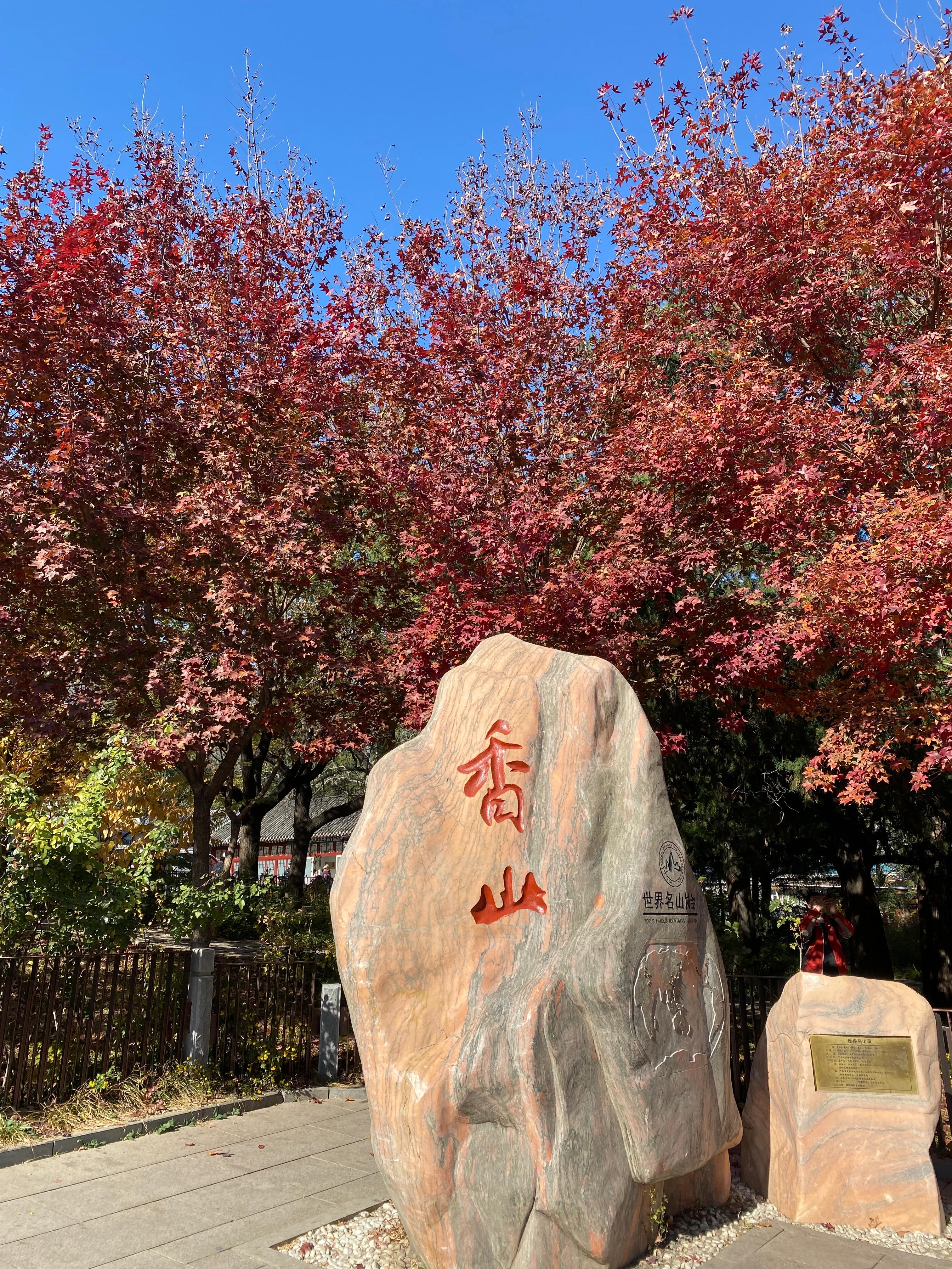 香山风景区打卡攻略,北京香山公园打卡