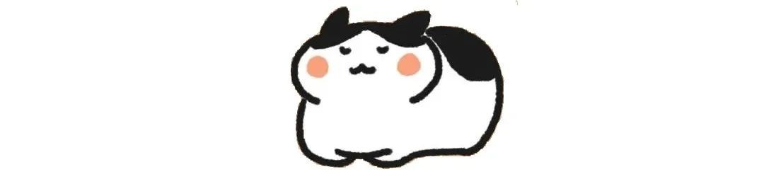 与猫共处的日子,如何给猫屋消毒