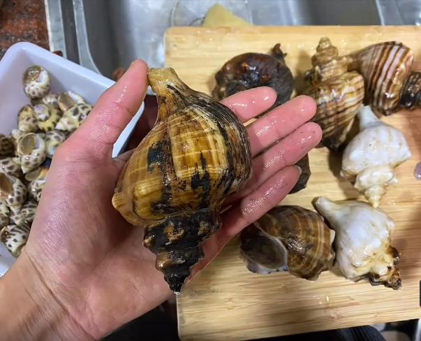 广东吃海鲜中毒,潮州一家四口吃海鲜3人中毒