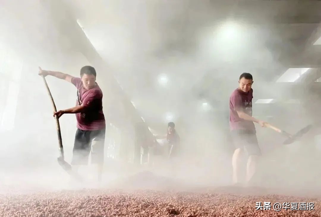 白酒行业复苏回暖中小酒企如何,2022年白酒行业稳中求进强势突围