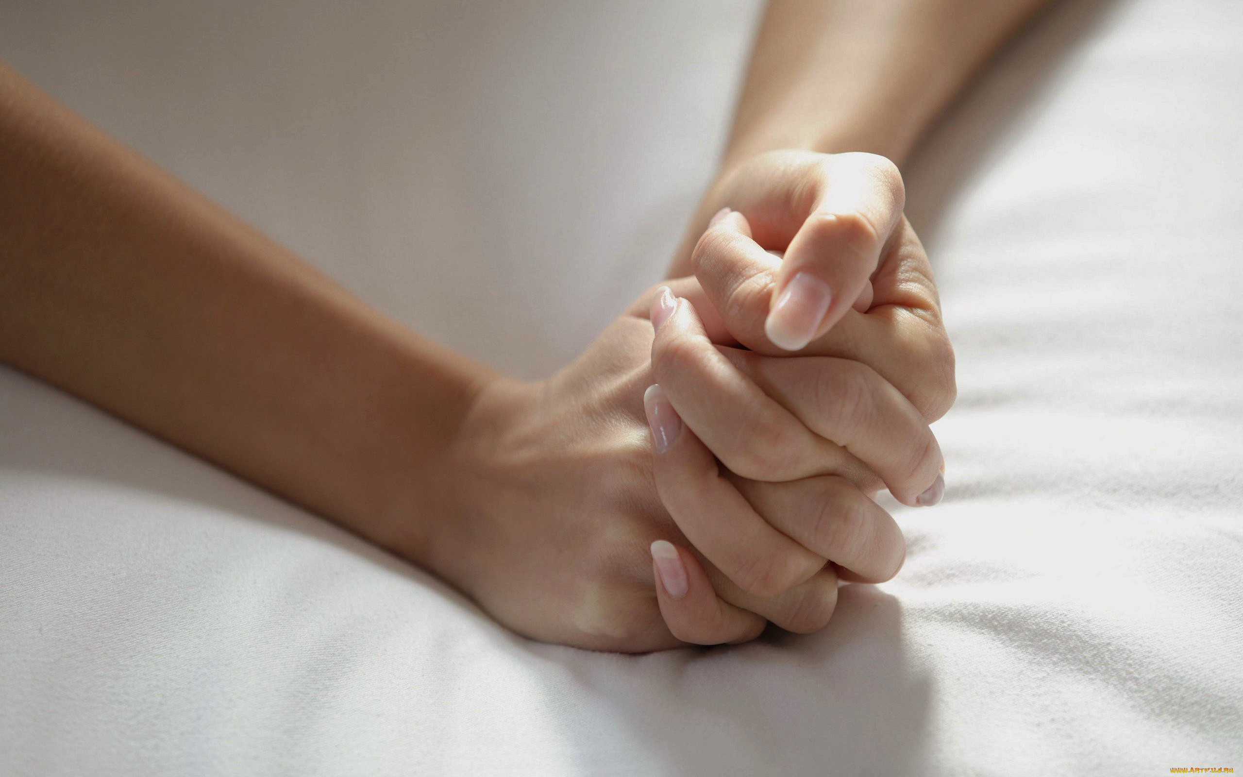 共同的目标一致的方向,共同的目标就是希望越来越好