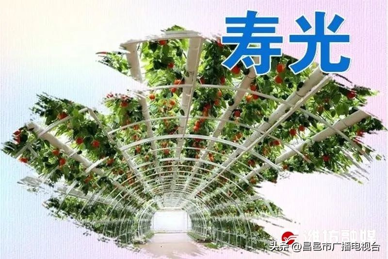 潍坊全民健身日活动启动仪式,山东潍坊的朋友们