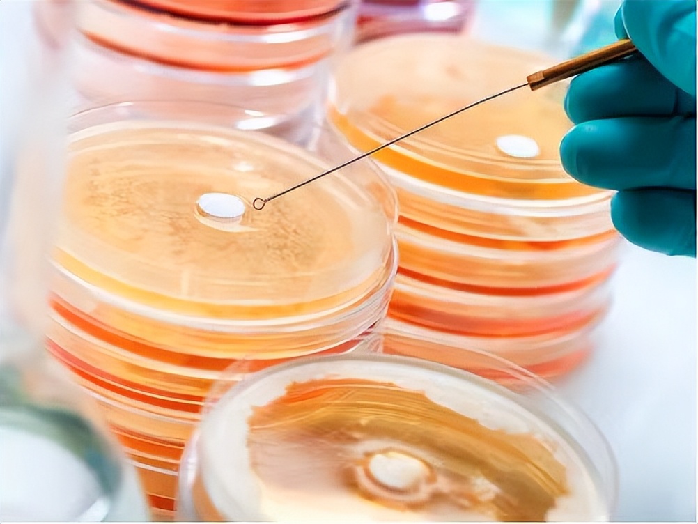 国货护肤品成分党新品,国货护肤品翻盘技巧