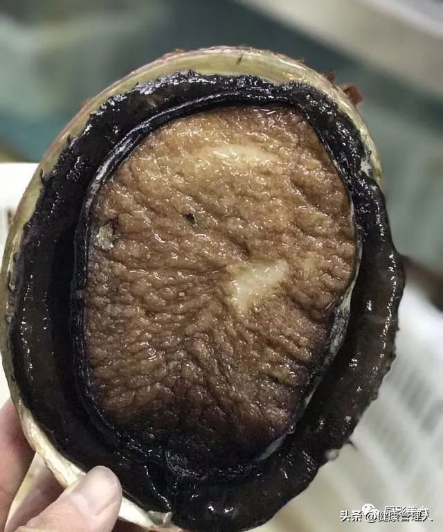 世界顶级海鲜食材,世界顶级的海鲜视频