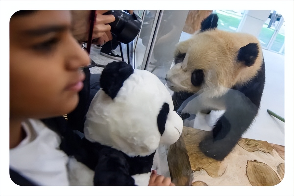 卡塔尔为世界杯创造了一座城！这届世界杯中国含量有点高