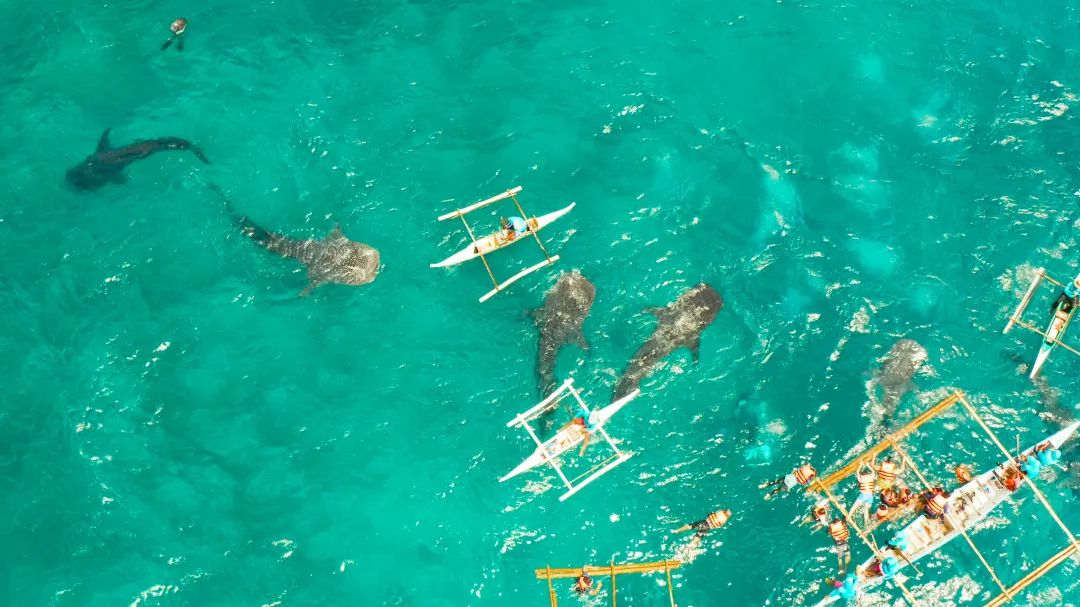 菲律宾吕宋岛的世外桃源,带你去探索菲律宾