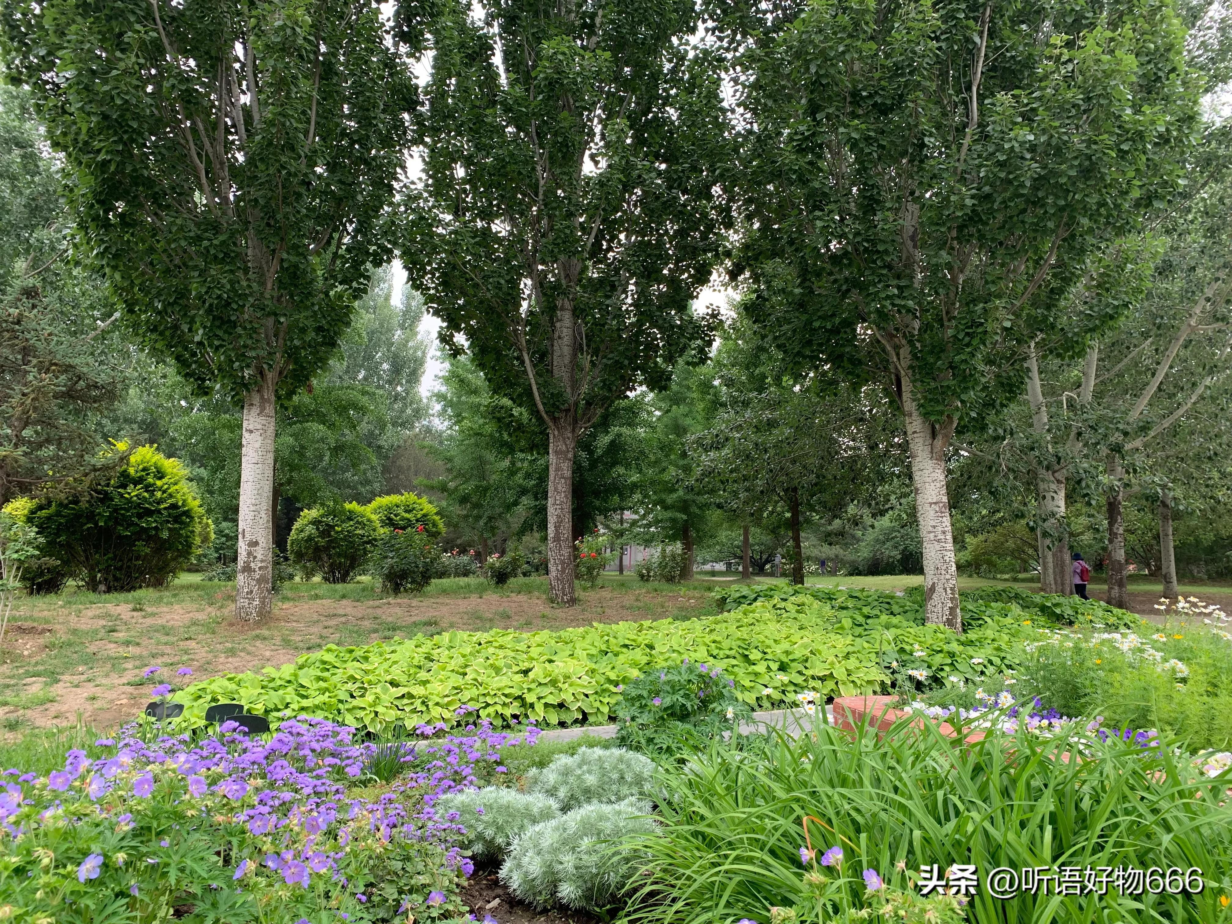 如何夸奖孩子的方法,如何夸奖孩子的作品