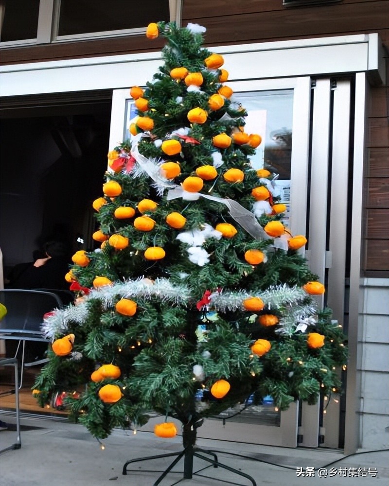 日本爱媛县柑橘,日本爱媛县柑橘研究所