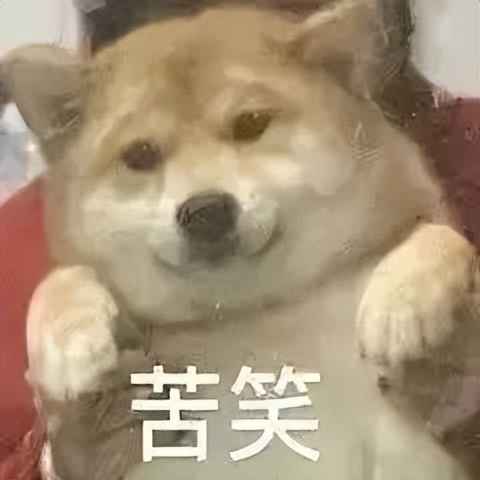 为什么把美国辉瑞新冠药纳入医保,上海将辉瑞新冠药列入医保