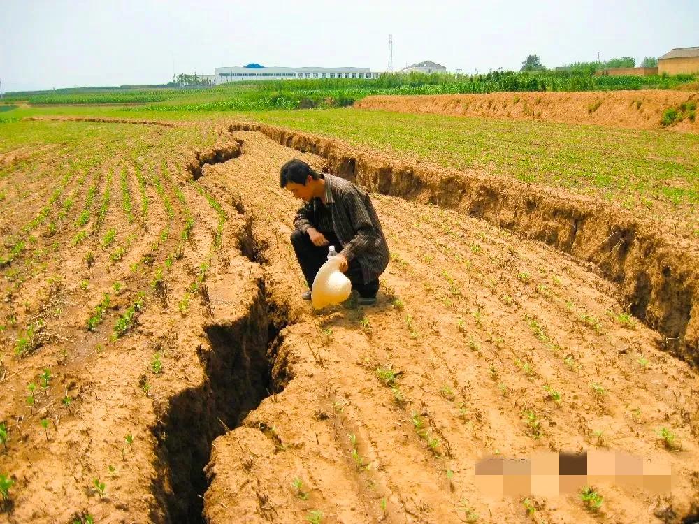 女人40岁以后做什么体面的工作,年轻人选择什么工作最赚钱且稳定