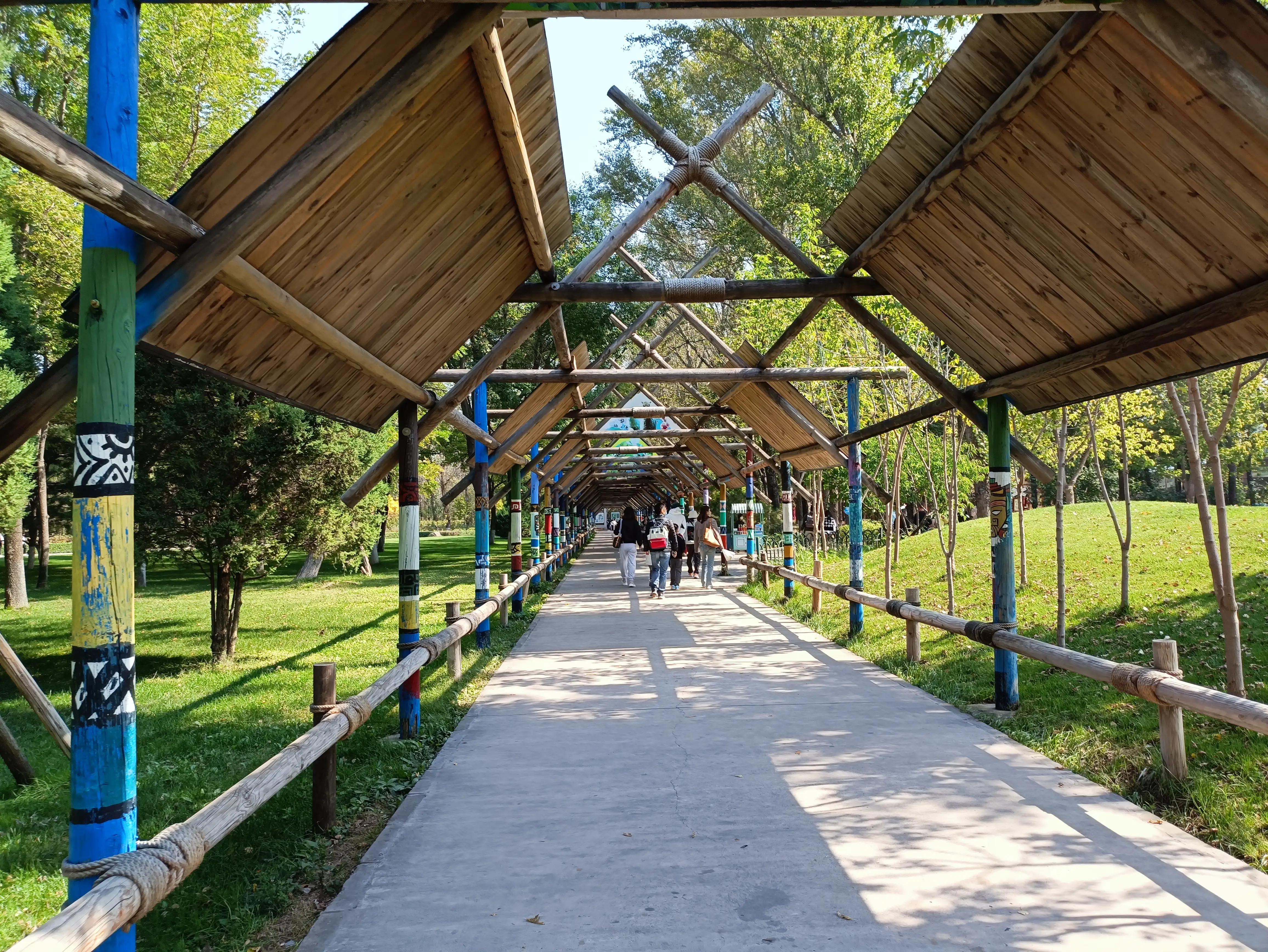 北京动物园和北京野生动物园区别,北京野生动物园狗妈妈和老虎狮子