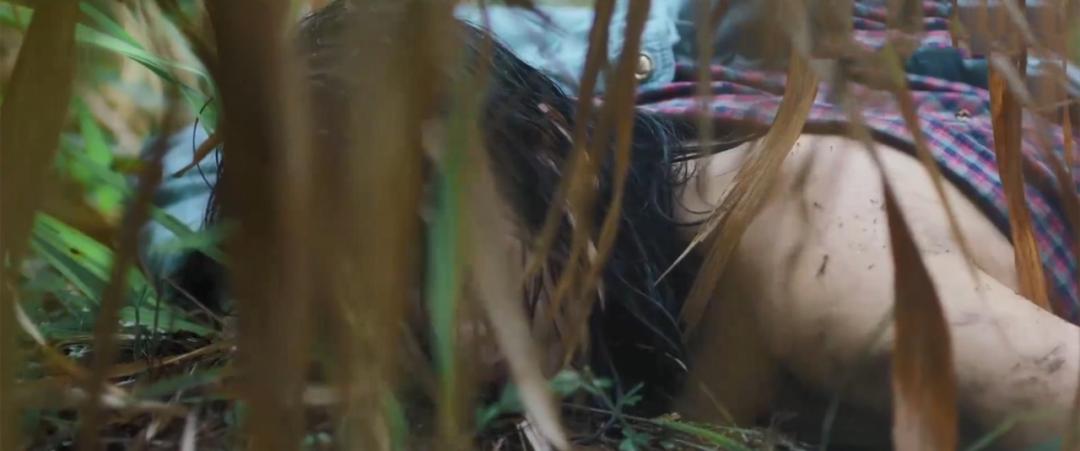 张译爆款剧,张译新剧首播好评如潮