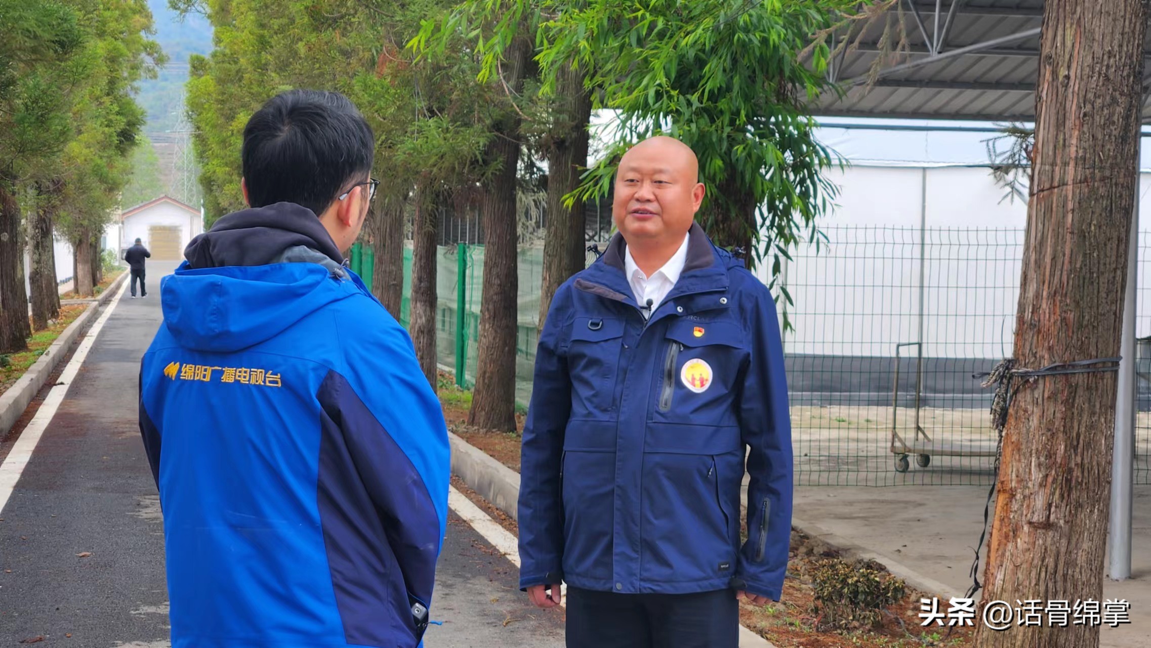姹熸补骞虫鑱斿姩鍙戝睍,缁甸槼姹熸补鍗忓悓鍙戝睍