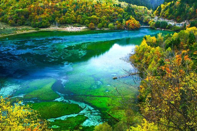 四川旅游五天四晚自由行攻略,四川旅游攻略五天四晚