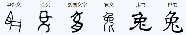 兔年说兔事内涵,兔年说兔