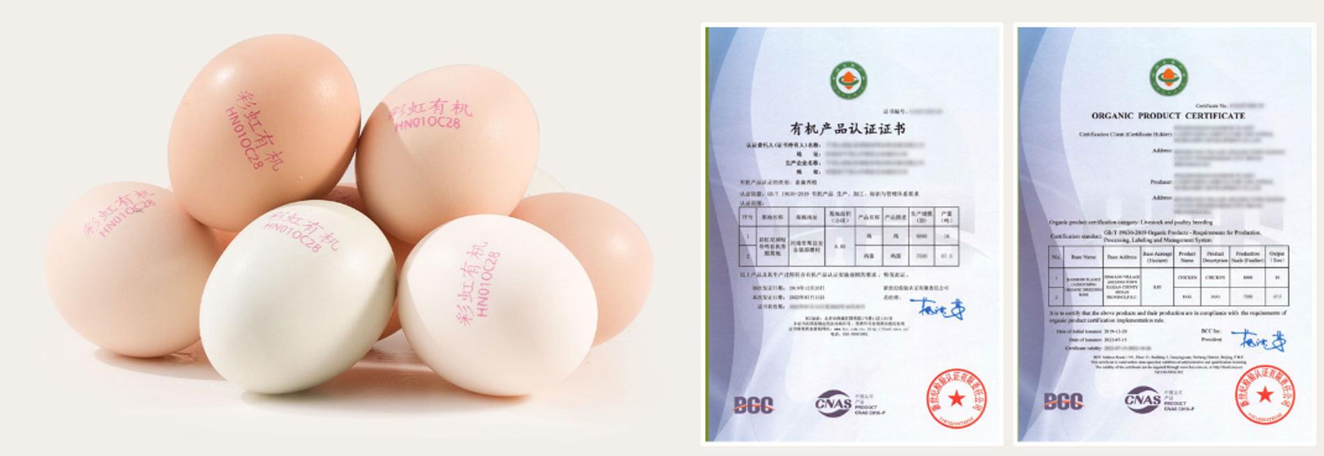 一颗鸡蛋赚多少钱,一颗鸡蛋的成本