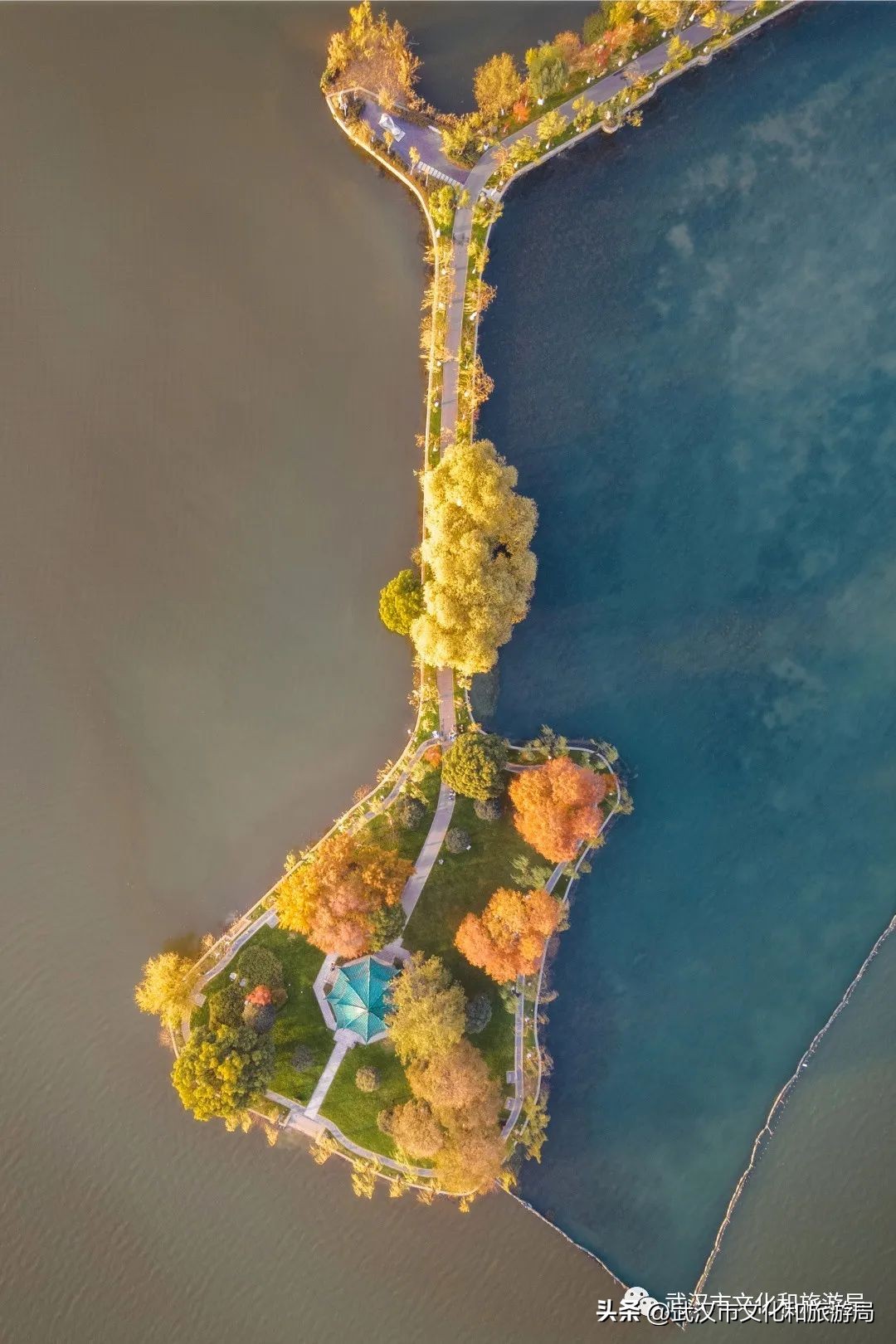 武汉元旦天气情况,武汉元旦有哪些活动