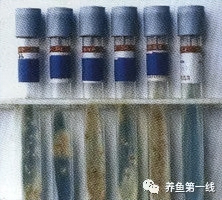 水生生物大盘点,水生生物多图排版