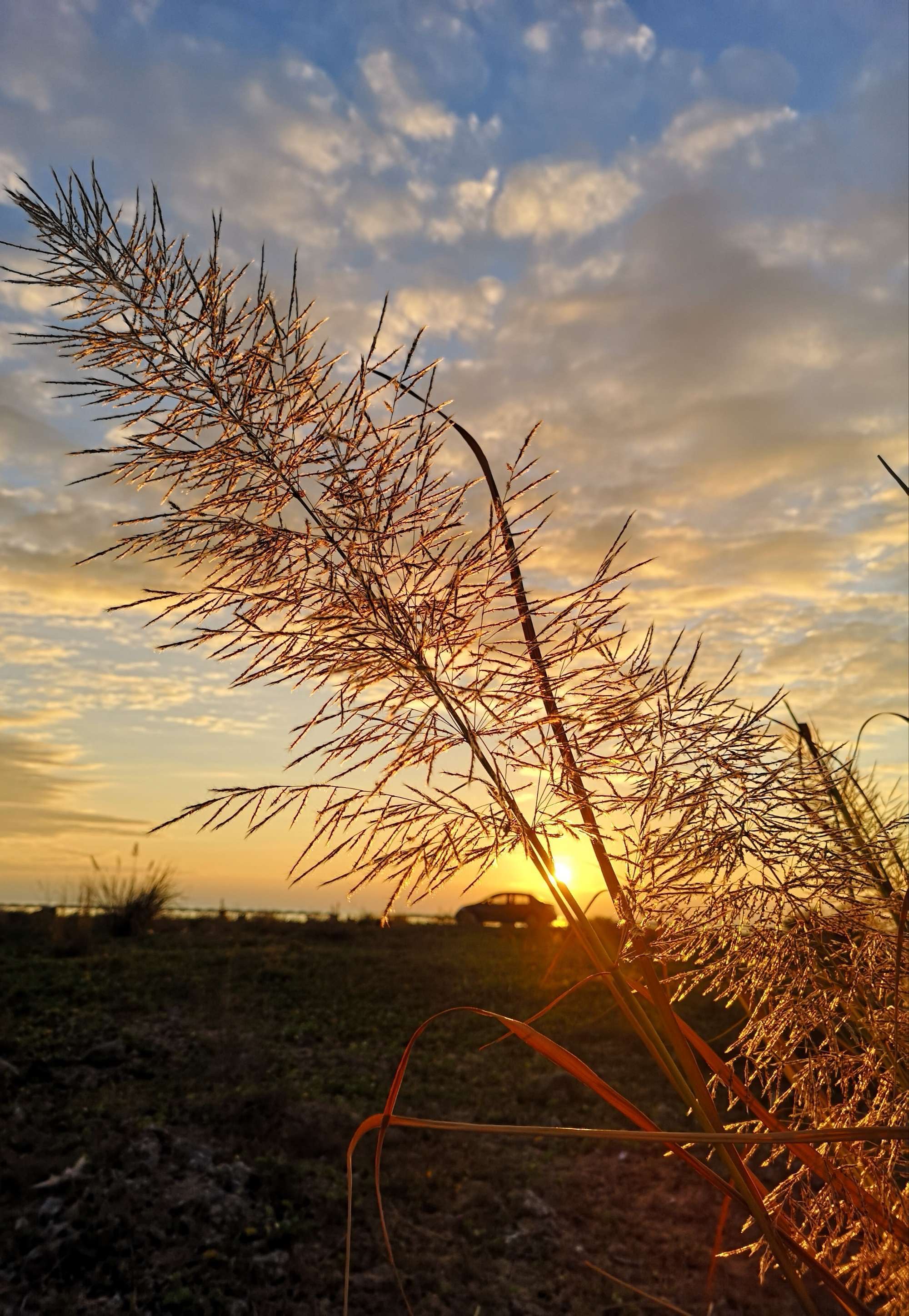 圆梦之园一一我的波波利海岸,下篇