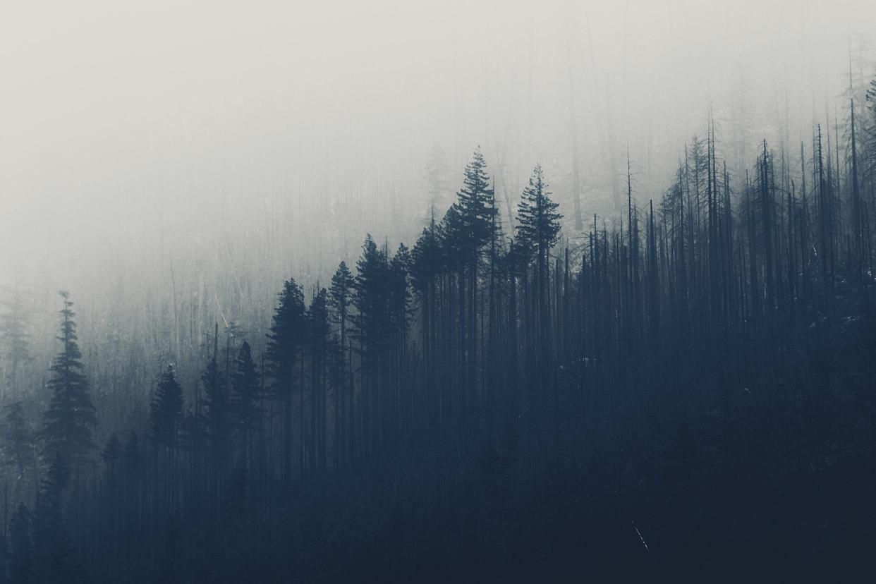 8首非常经典的田园诗词，饱含东方人生哲学，读完宁静快乐