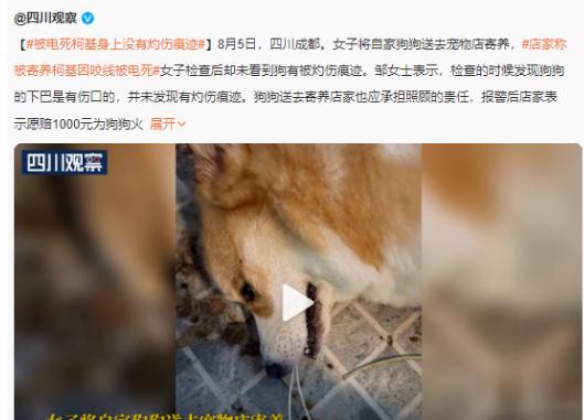 创业的十大赚钱项目见效,目前最靠谱的创业赚钱行业