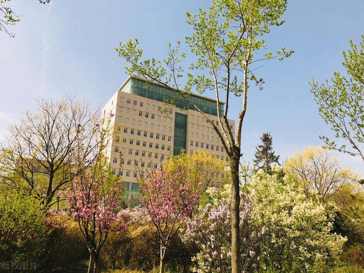 甘肃农大考研哪个专业好,甘肃大学研究生录取比例