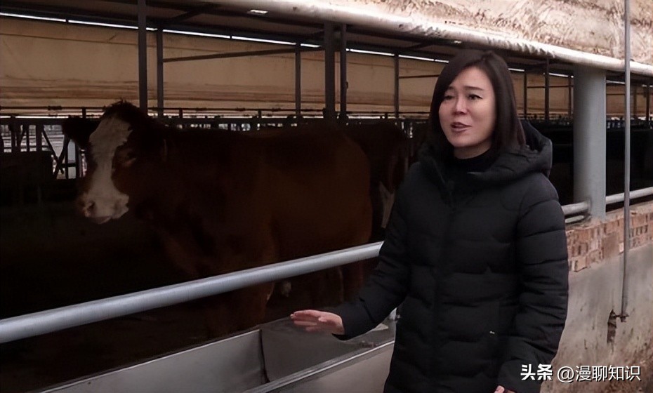上海女白领被父亲一个电话叫回家养牛，靠没人要的牛1年狂赚1.6亿