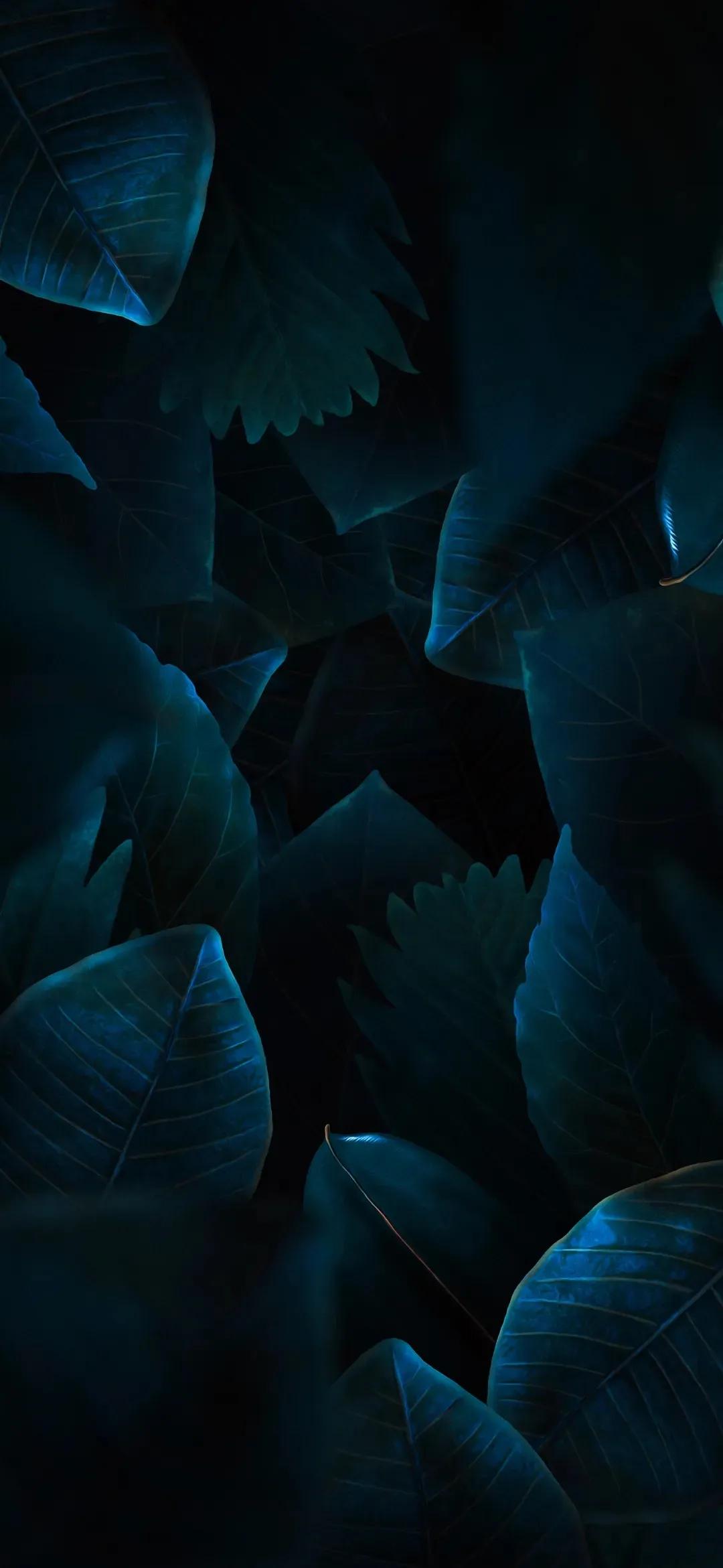 2340*1080黑色高清壁纸,壁纸461期热门精选壁纸