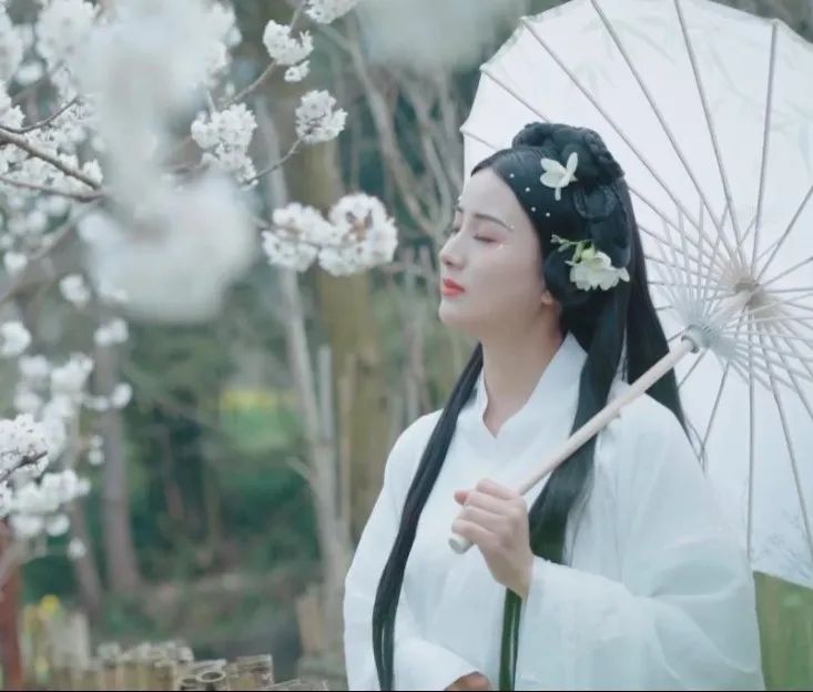 2024年蒲江樱花节,蒲江樱桃花节