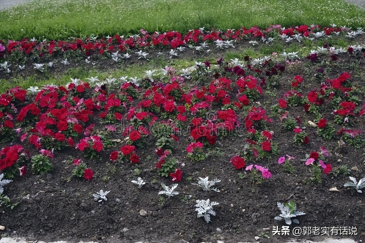 五行是金木水火土还是木火土金水,木火土金水的五行学说你学会了吗