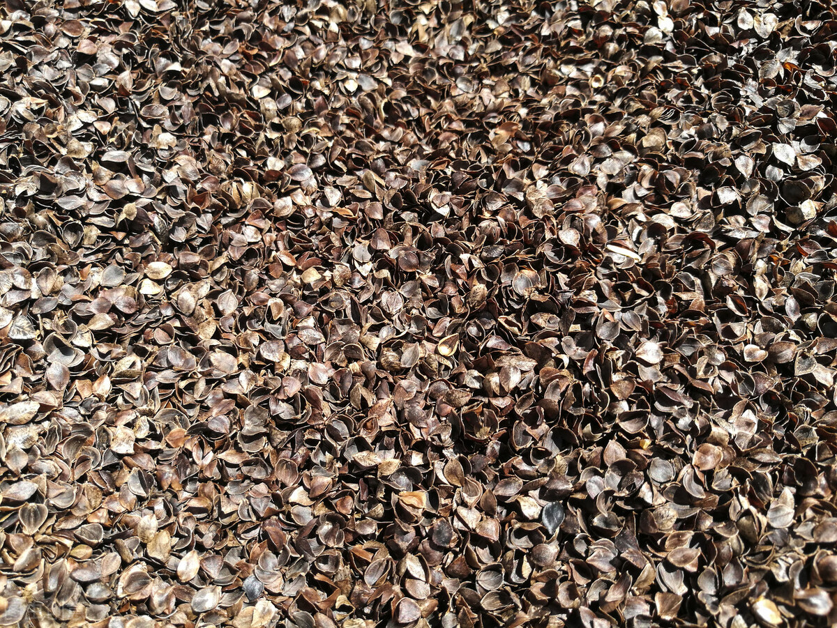 睡眠枕头好坏,睡眠好枕芯