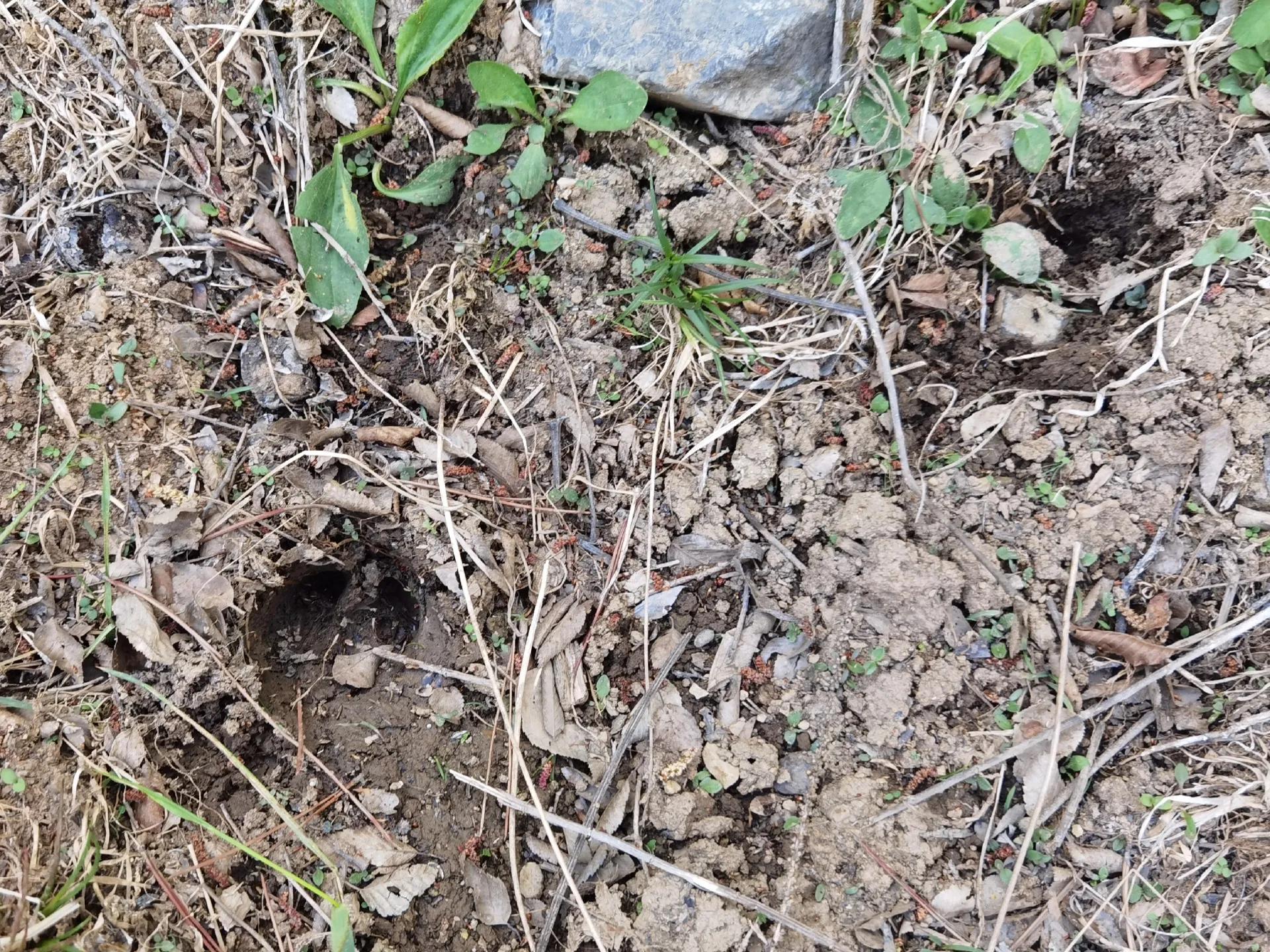 灵岩大佛山徒步,徒步灵岩山寺美篇