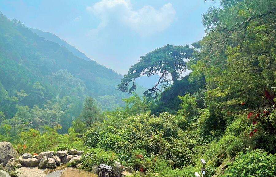 天下奇观泰山,泰山天下雄