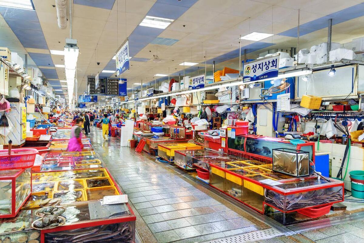 韩国中韩关系最新消息,韩国中韩关系