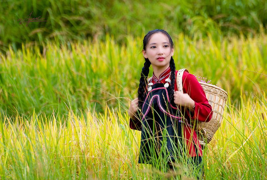 妹与妺的读音,妹与妺的区别