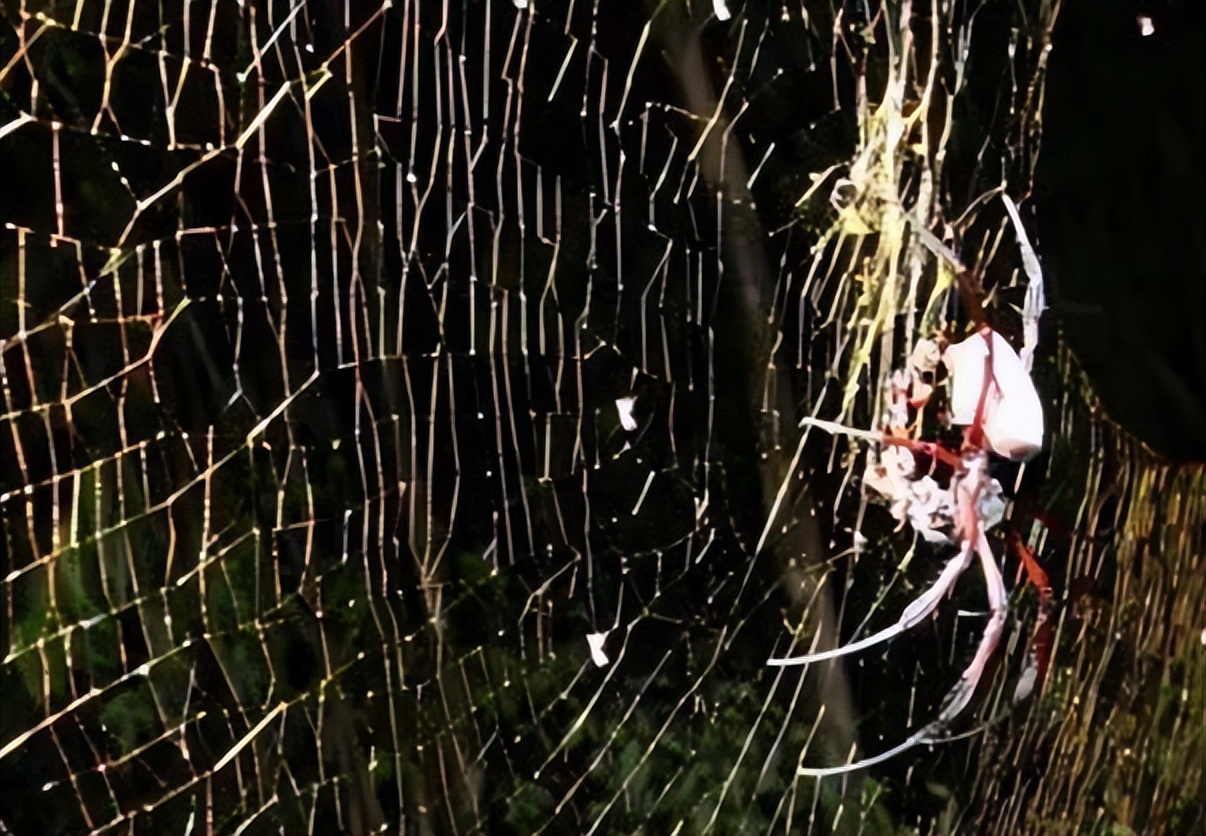 趣知识科普,趣知识