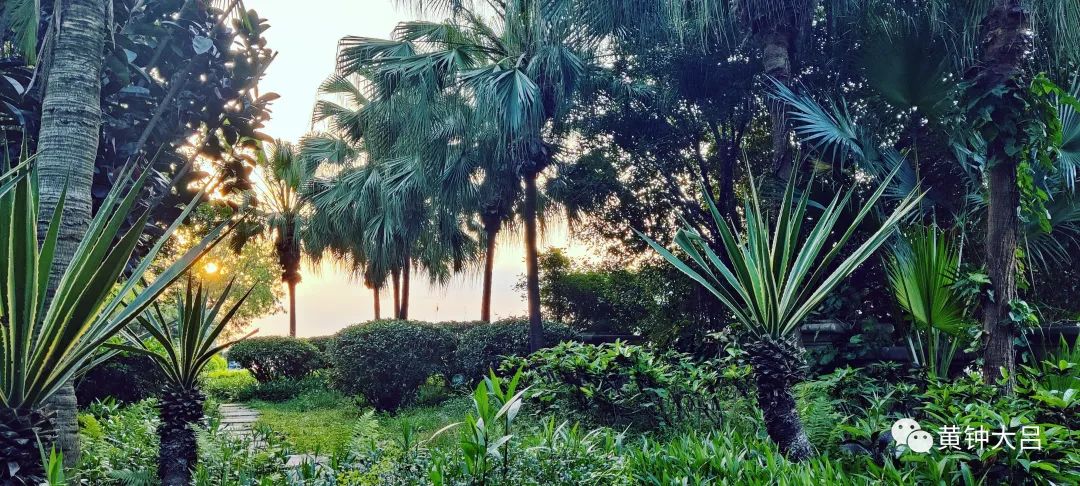 买学区房和陪伴孩子哪个重要,重视子女教育