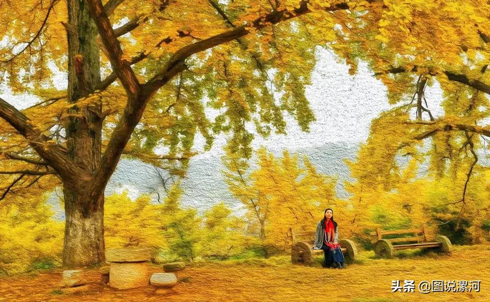 摄影比赛获奖名单公示,摄影大赛颁奖活动暨摄影展美篇