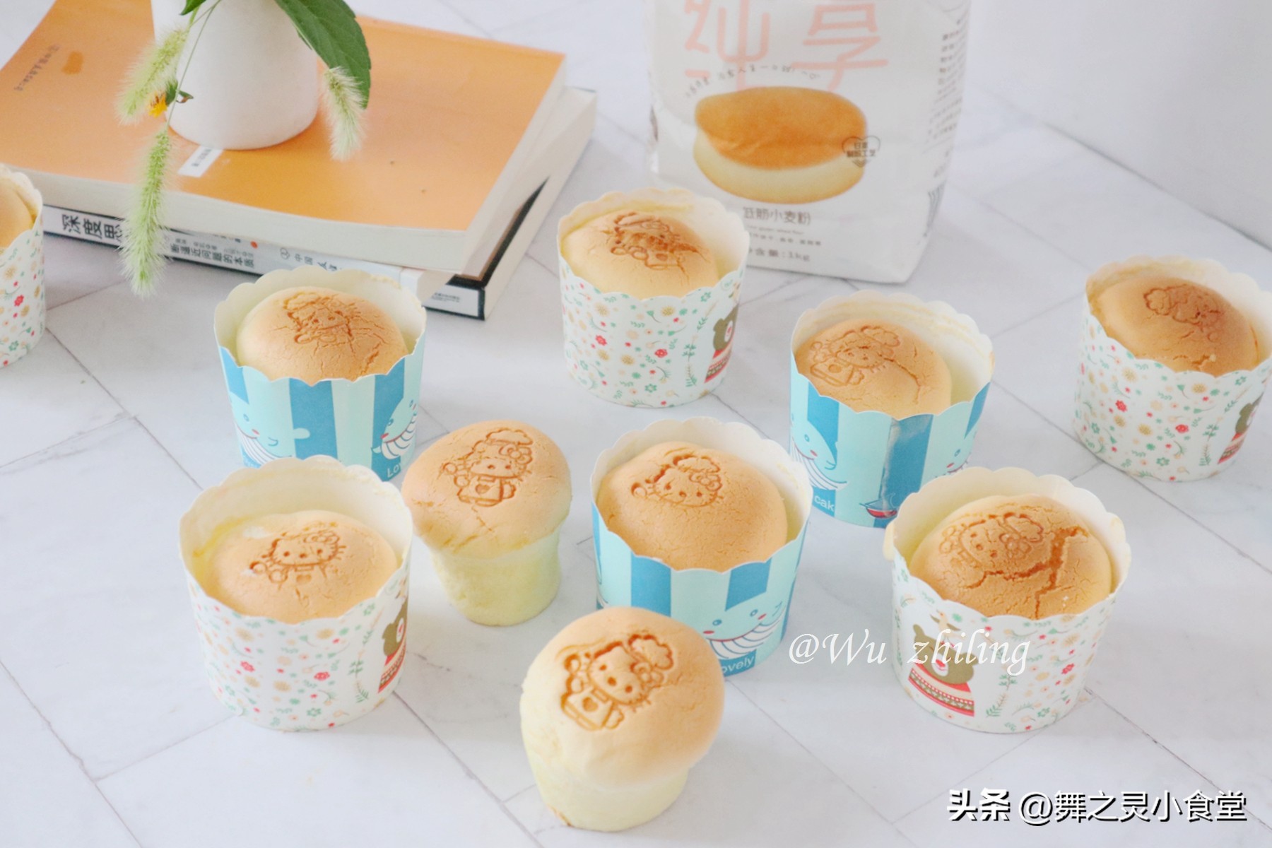 只用普通面粉鸡蛋糖做出来的蛋糕,只有面粉鸡蛋白糖酵母能做蛋糕吗