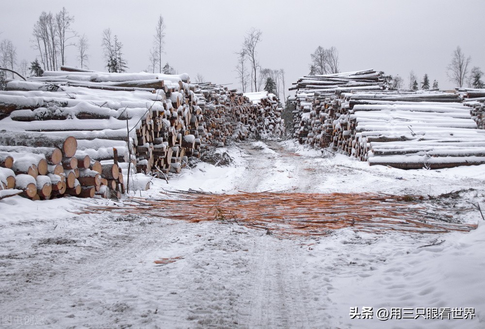 「知青往事」我们的爱情始于麦垛下