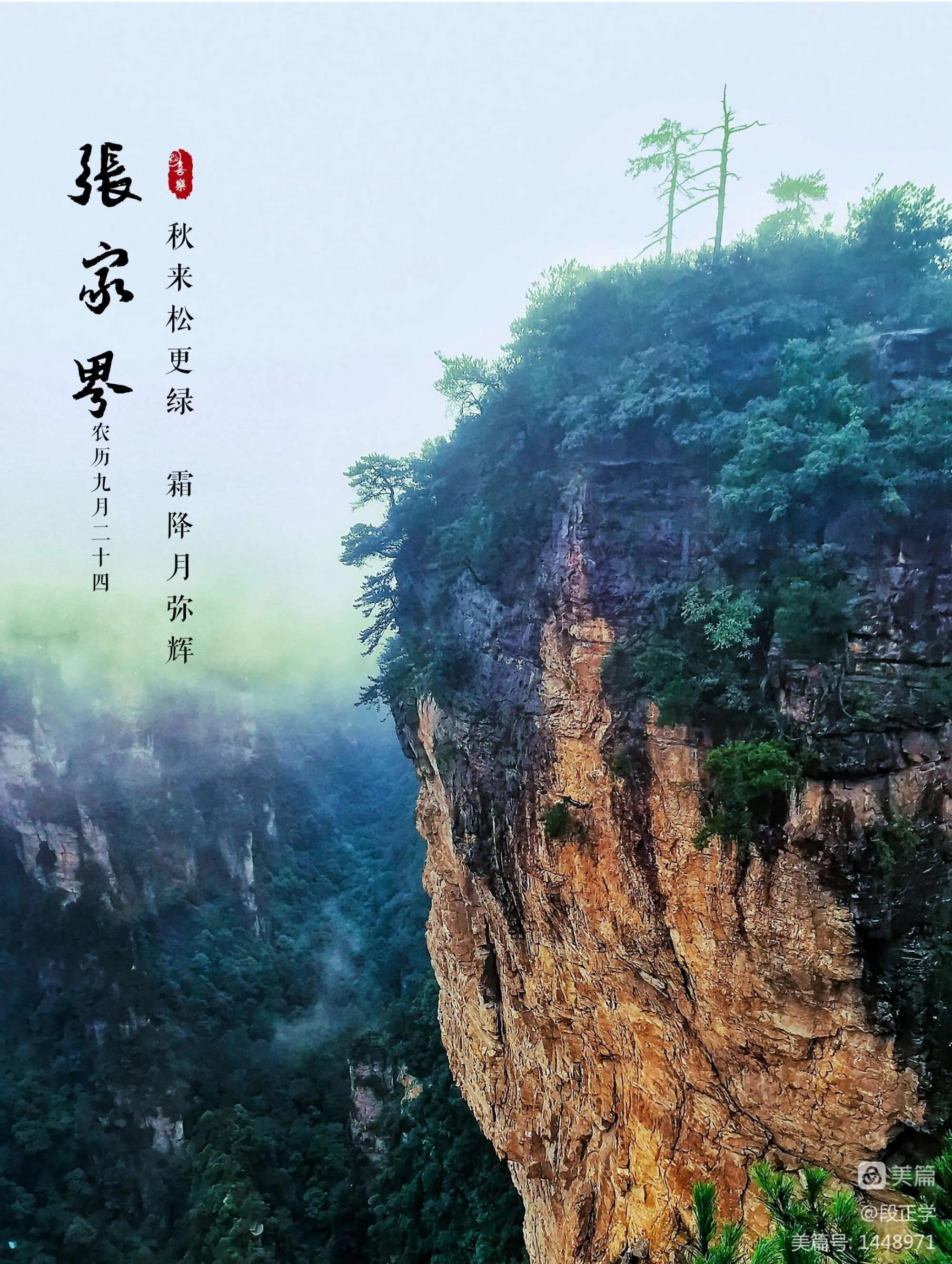 仙境张家界惊艳全世界,张家界的峰林峡谷仙境