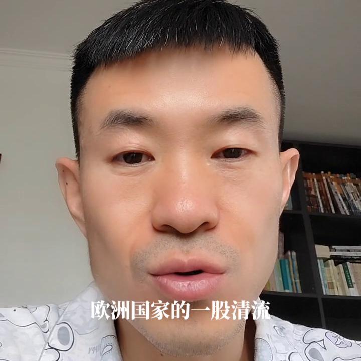 匈牙利中国的远房亲戚,匈牙利是欧盟中的清流