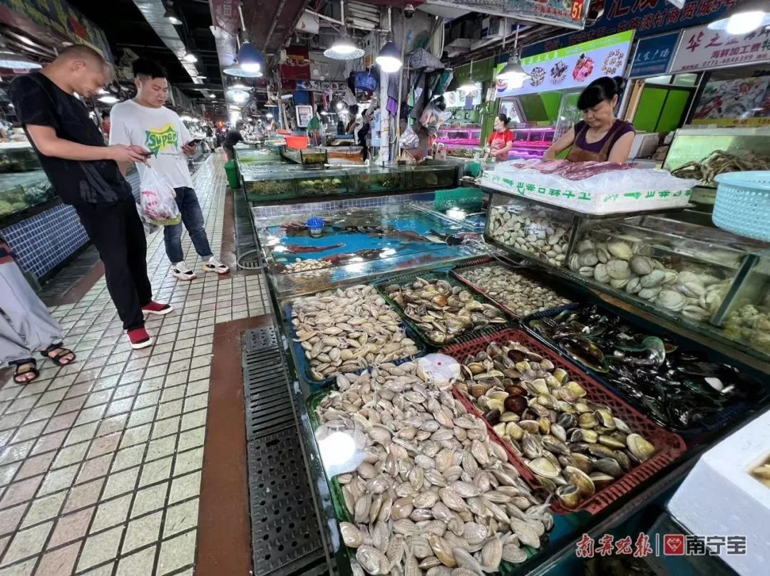 南宁哪个海鲜市场海鲜多便宜,南宁海鲜市场现状
