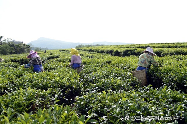 农业发展重点突破,农业创新发展模式