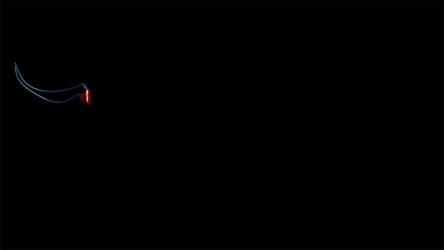 进入女性体内后，没成功“受精”的东西都去哪里了？既好笑又心疼