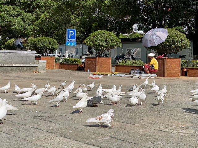 昆明一座让人流连忘返的城市,被低估的旅游城市昆明