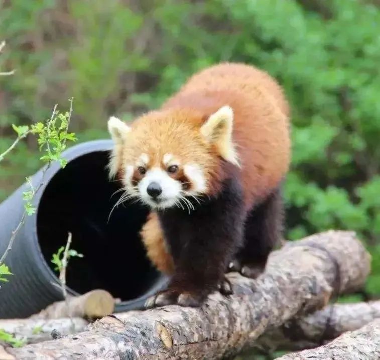 西安旅游攻略详细学生,学生西安旅游攻略最新