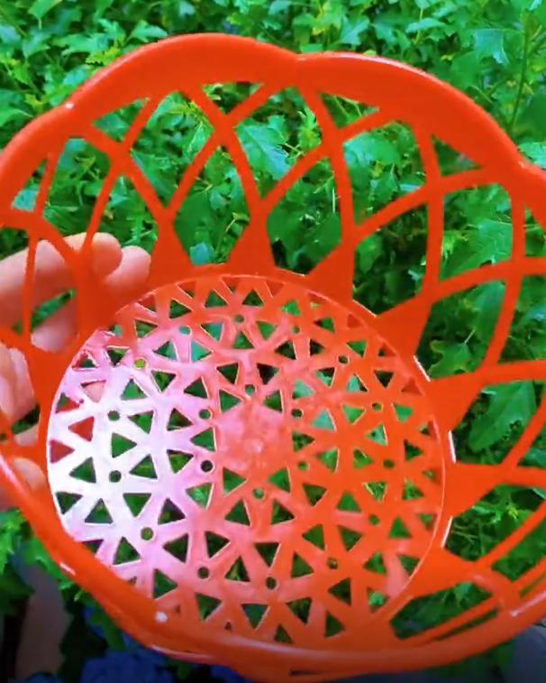 垃圾别丢，顺手改造个“花盆”，一年能省不少钱