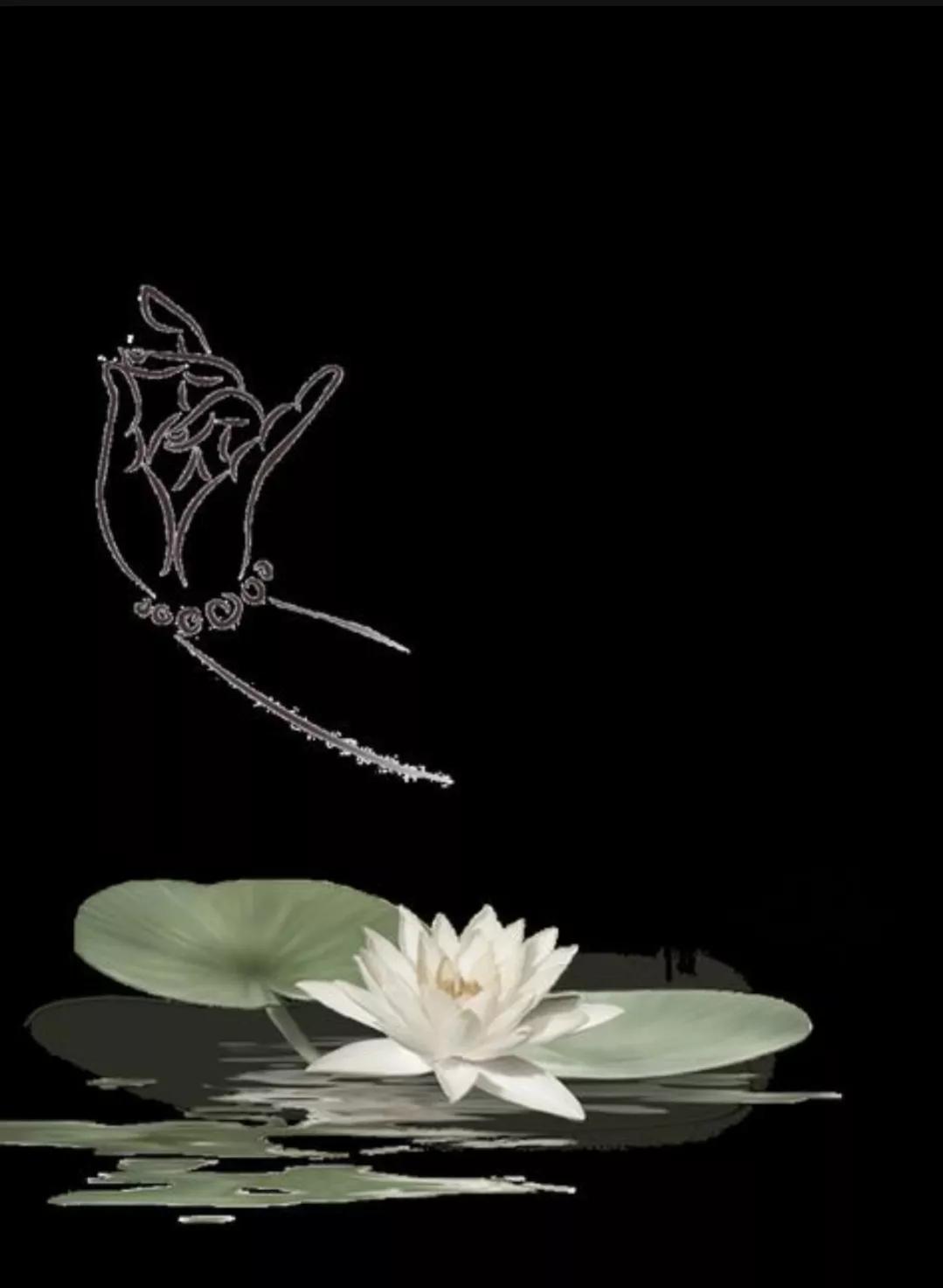 佛教中的实相有哪些,佛教法相有哪些